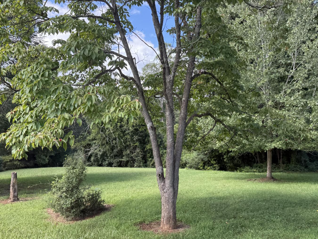 property-image-4