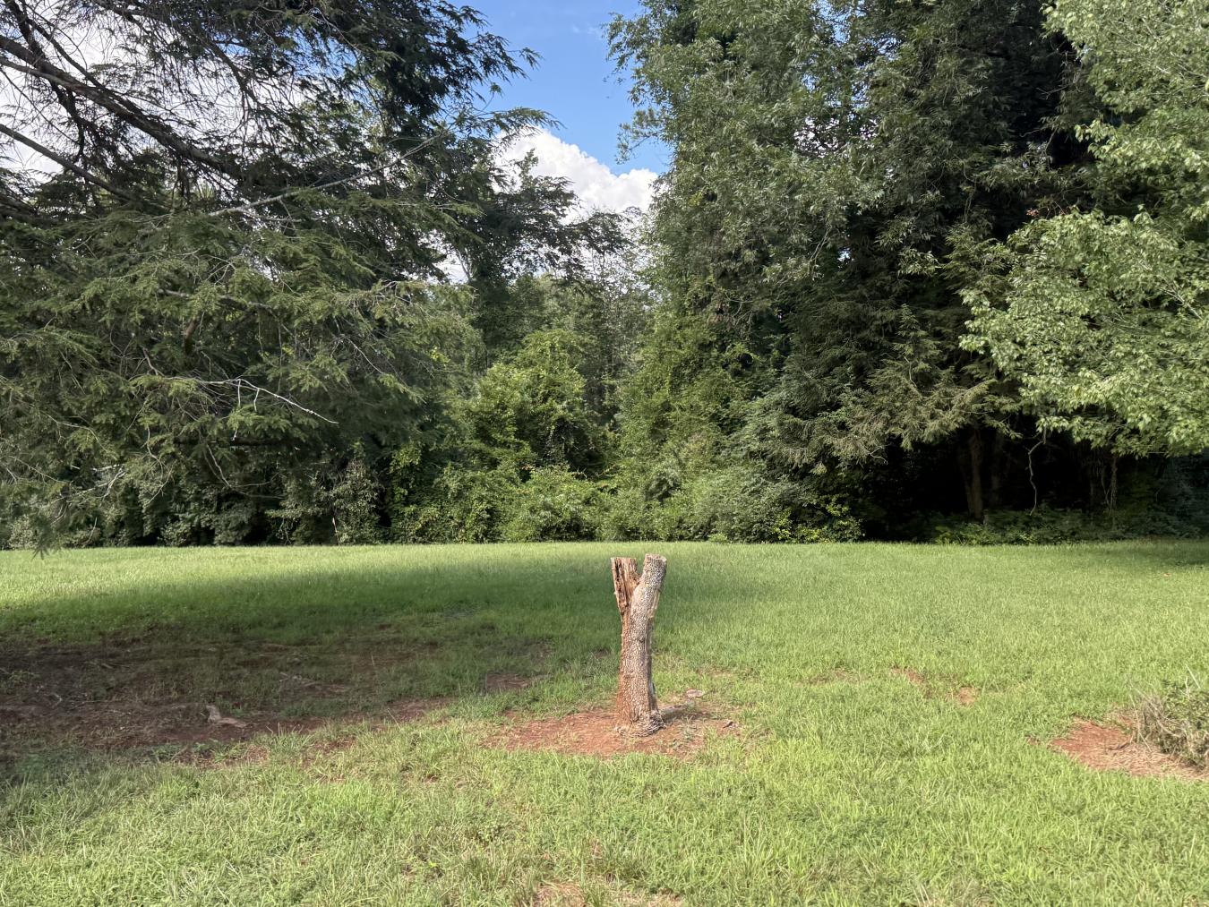 property-image-6