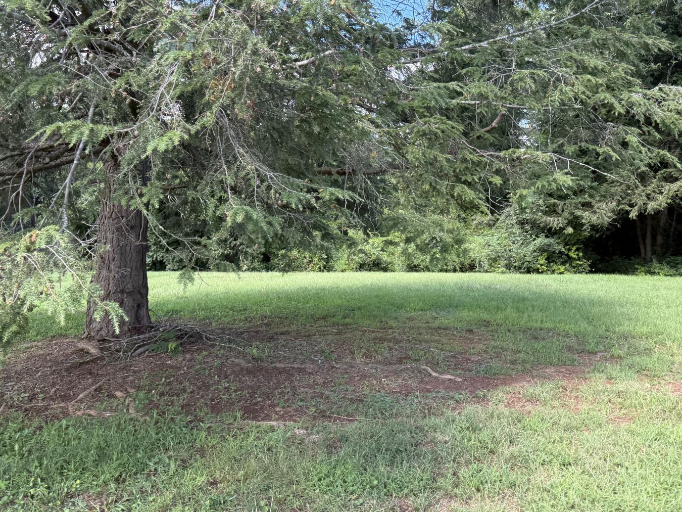 property-image-7