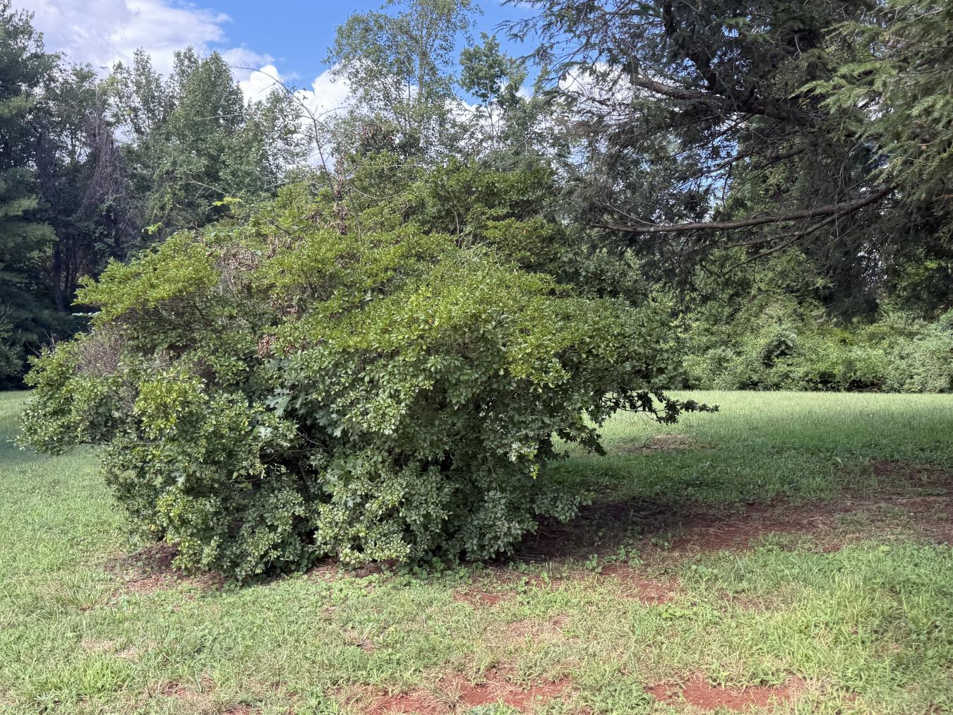 property-image-8