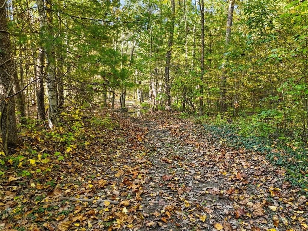 property-image-7