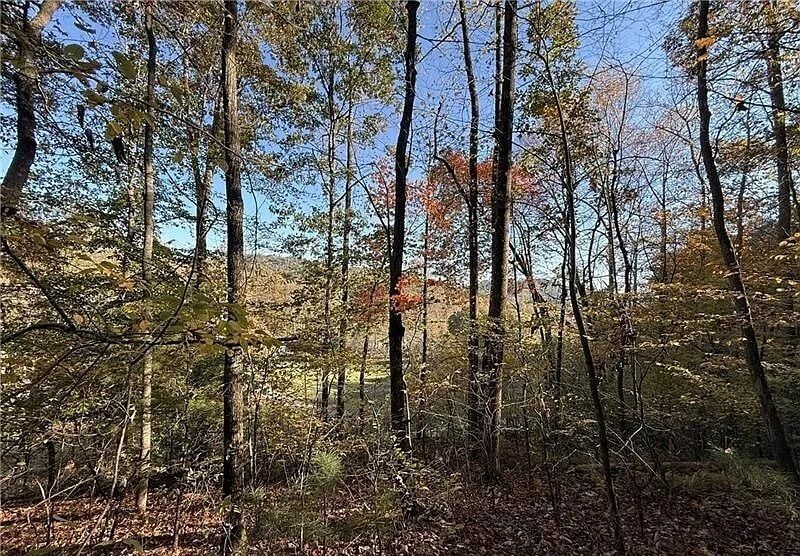 property-image-6