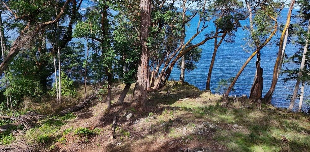 property-image-5