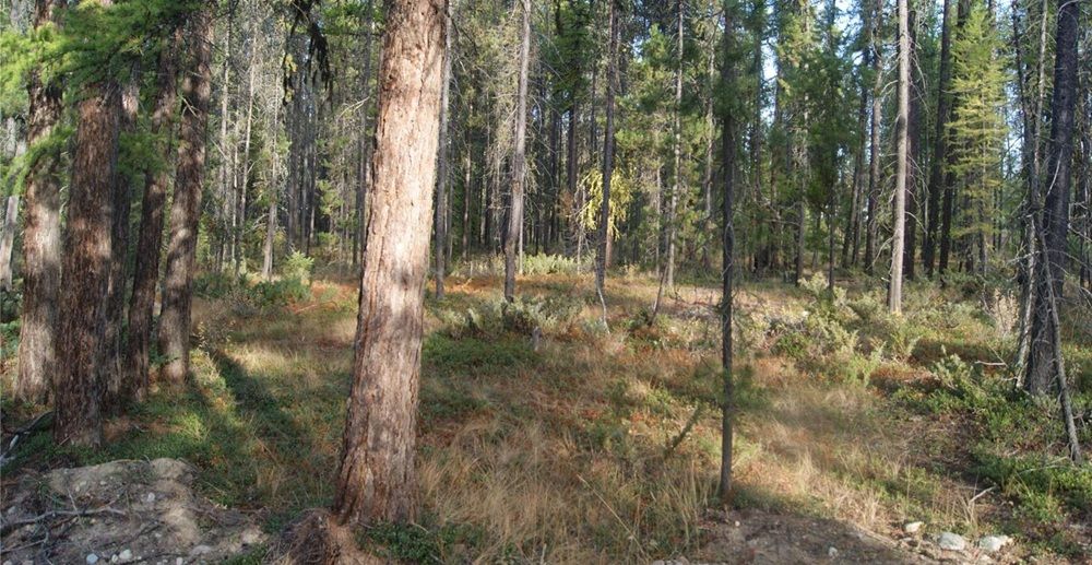 property-image-4
