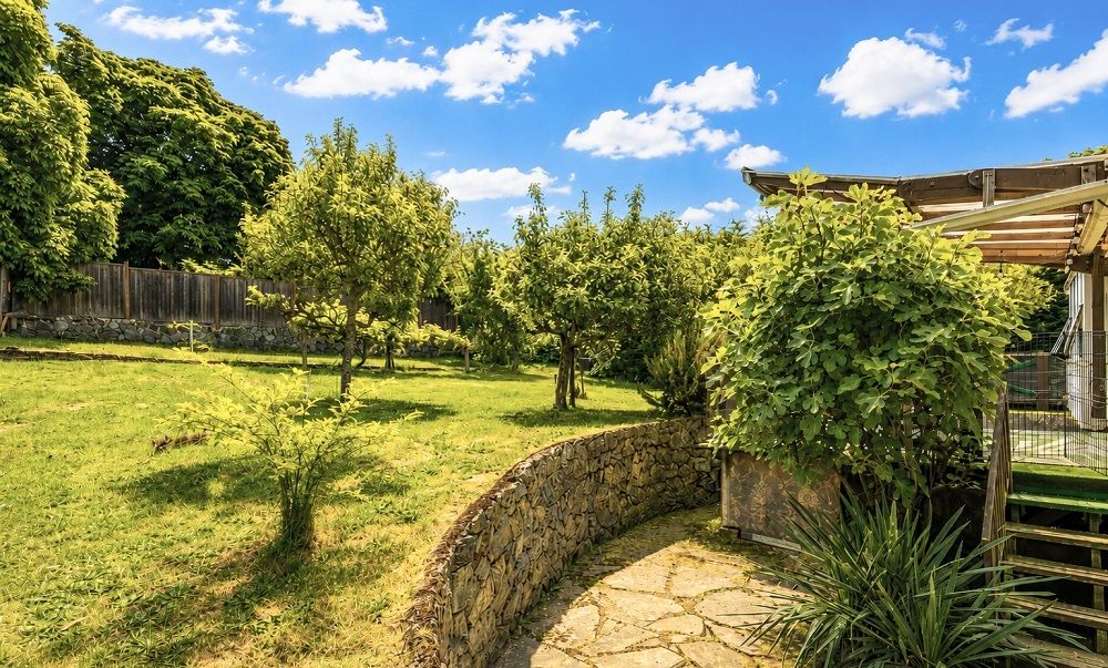 property-image-5