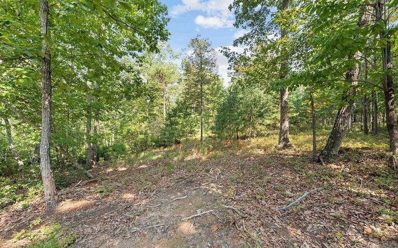 property-image-5