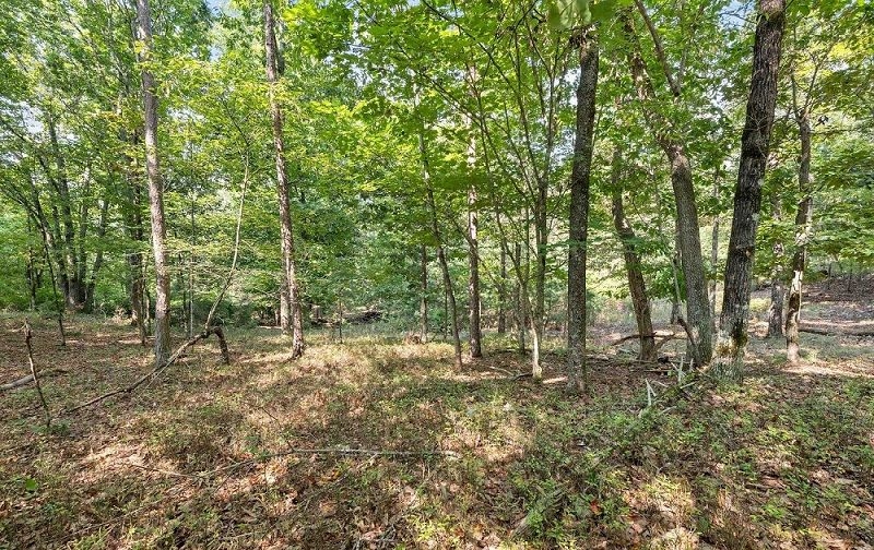 property-image-6