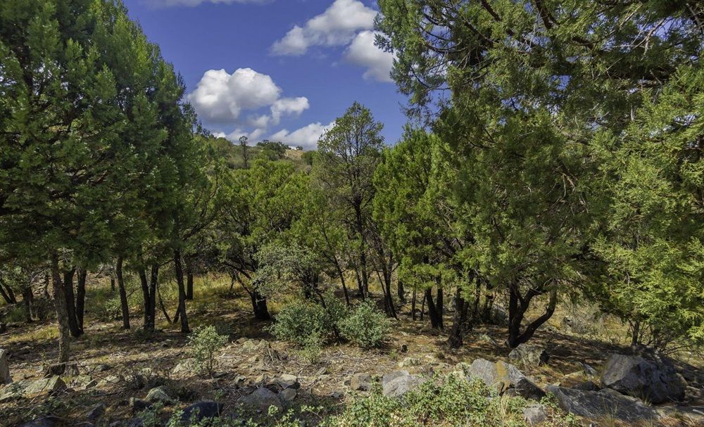 property-image-3