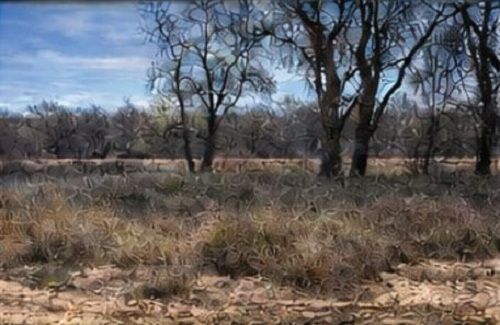 property-image-2