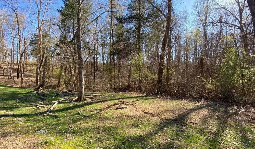 property-image-6