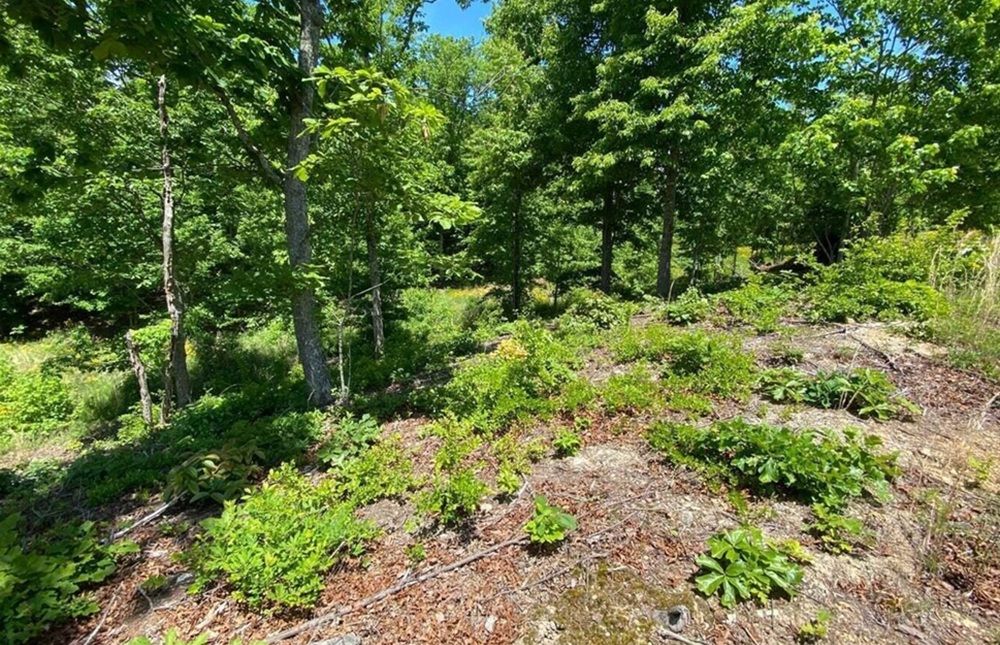 property-image-4