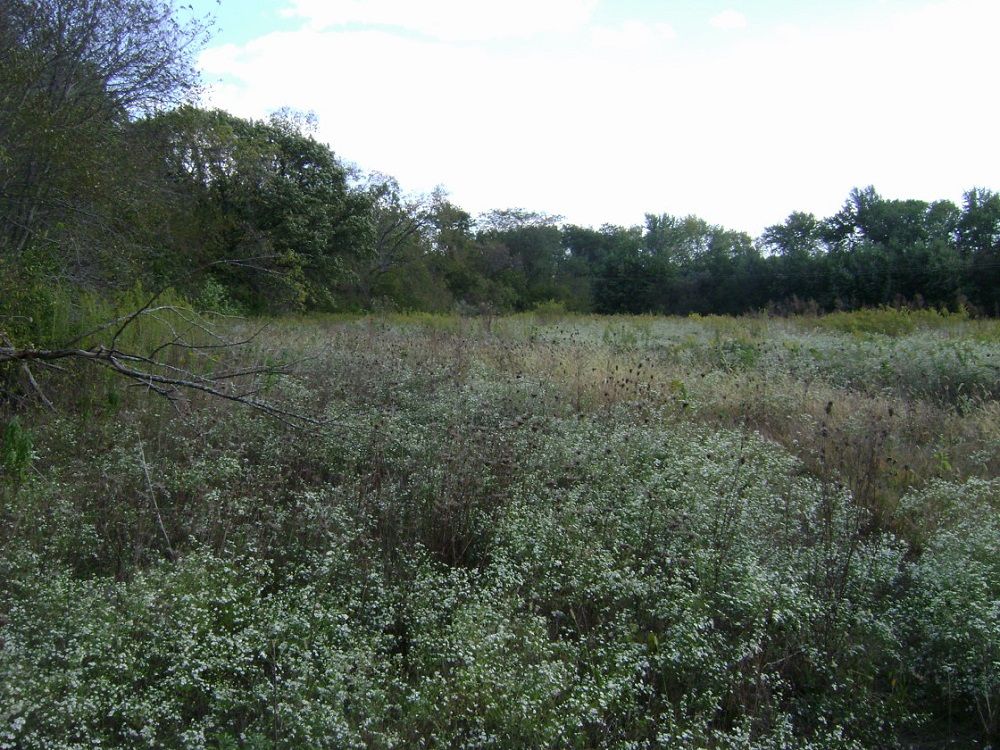 property-image-2
