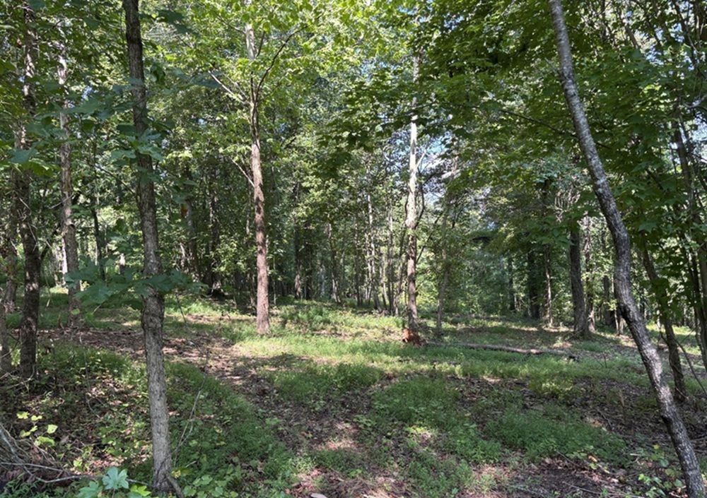 property-image-2