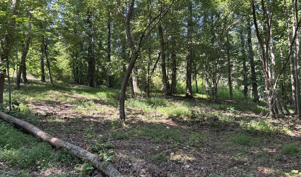 property-image-4