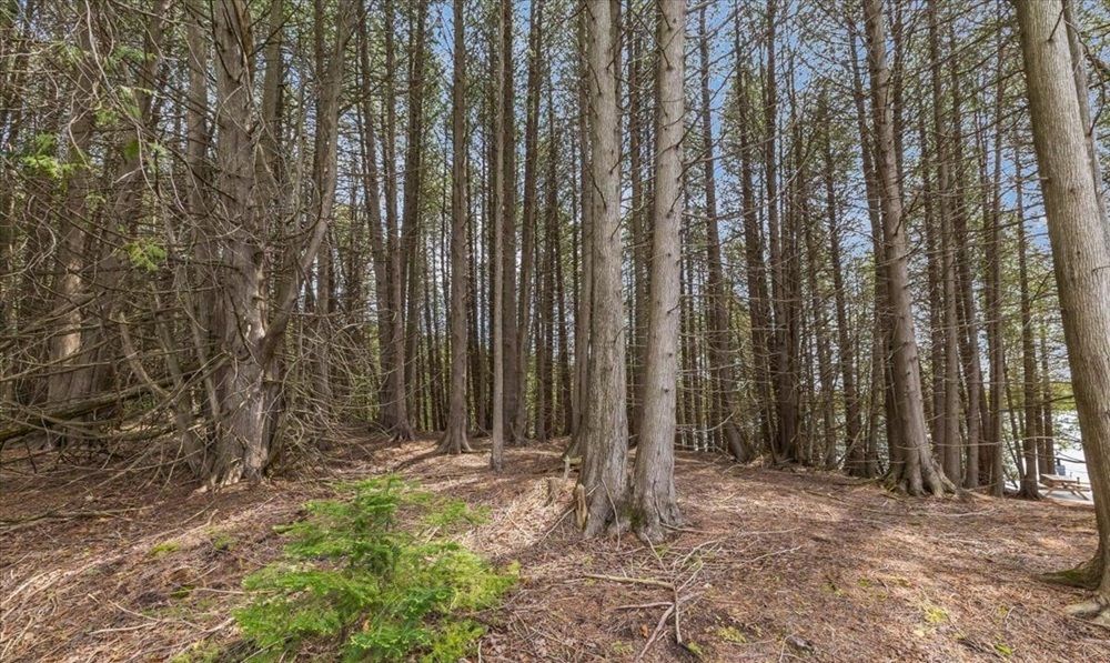 property-image-6