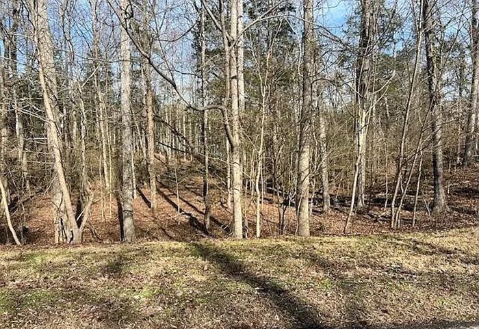property-image-2