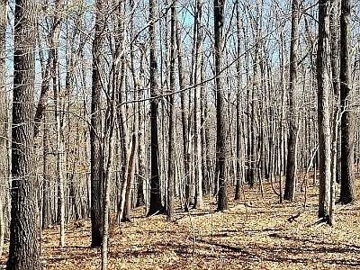 property-image-5