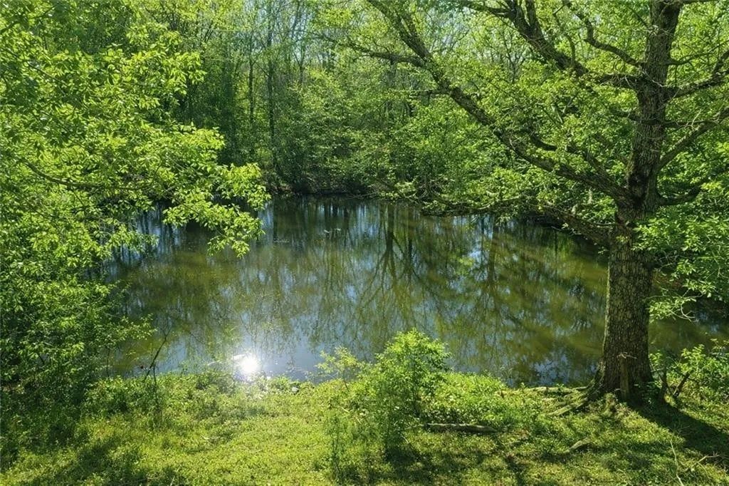 property-image-6