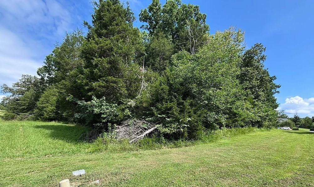 property-image-4