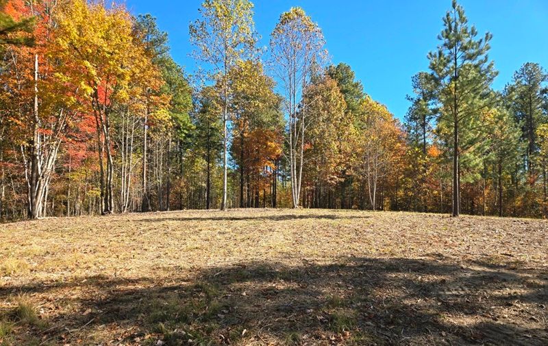 property-image-5