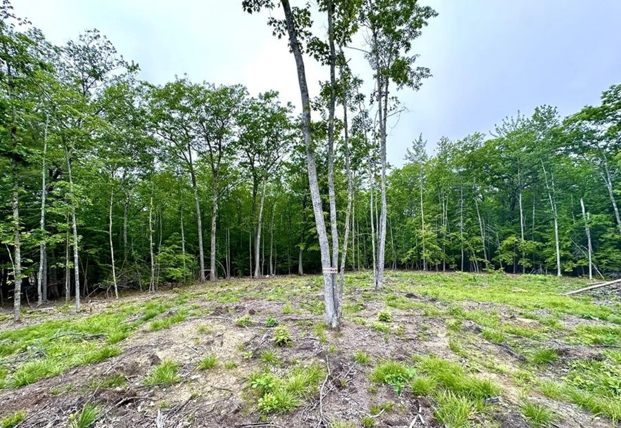 property-image-3