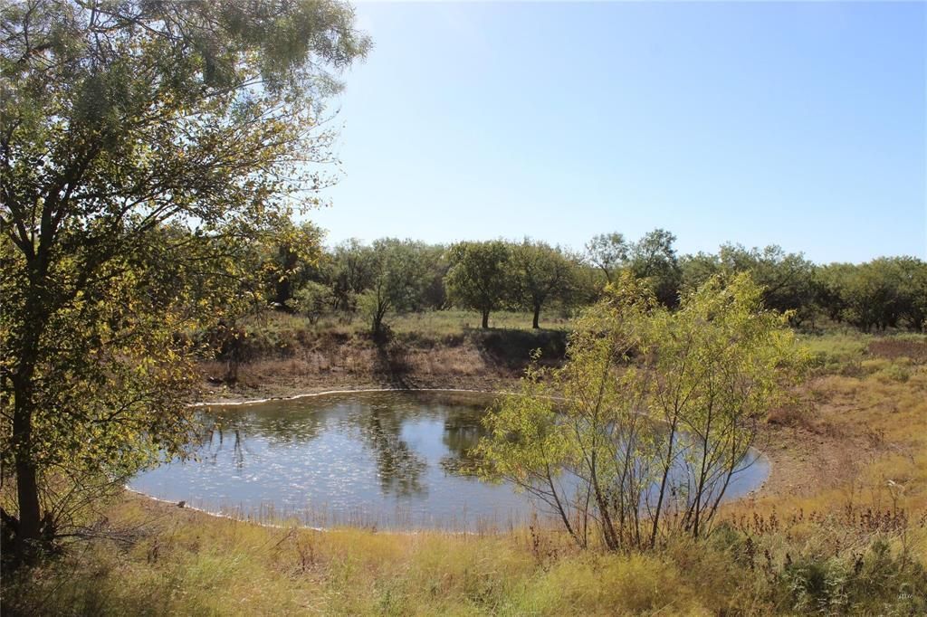 property-image-6