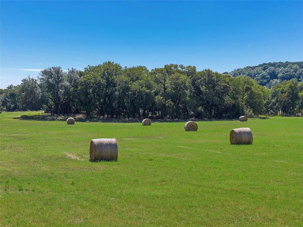 property-image-4