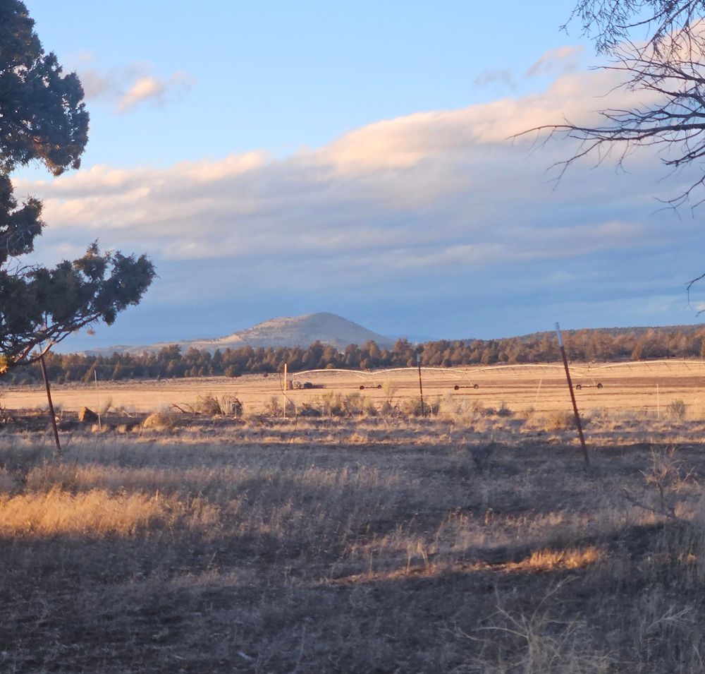 property-image-4
