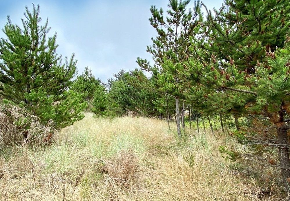 property-image-6