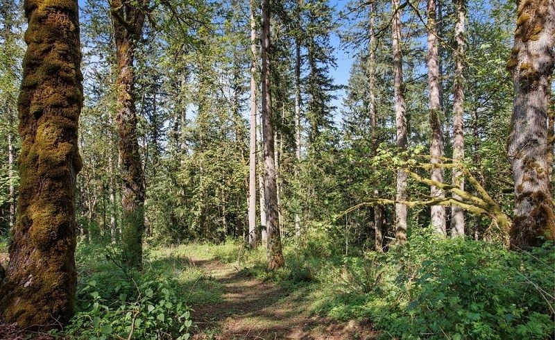 property-image-7
