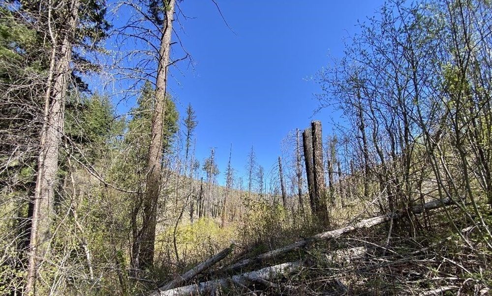 property-image-5