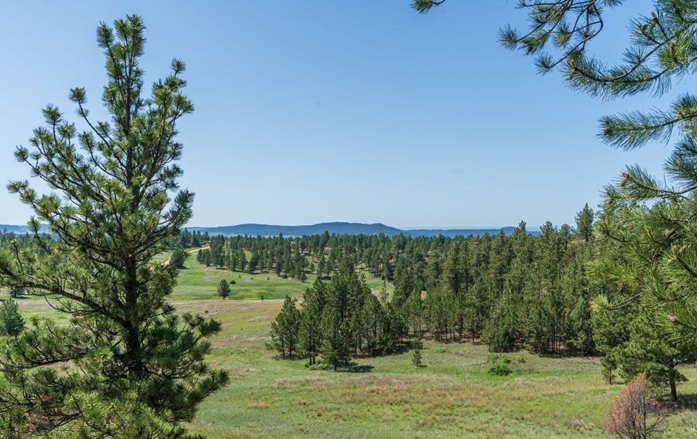 property-image-2
