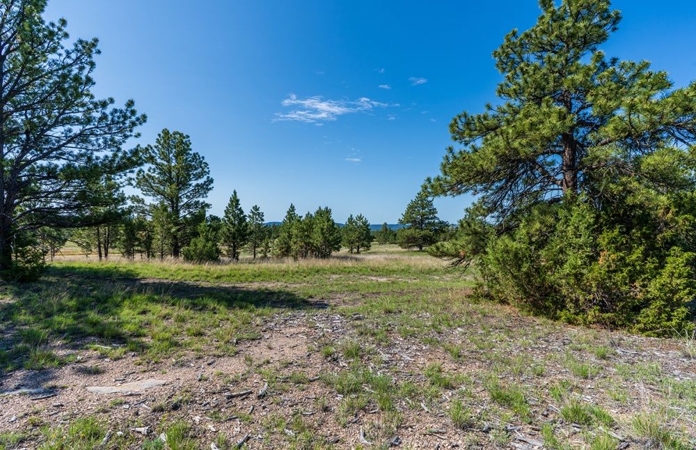 property-image-4