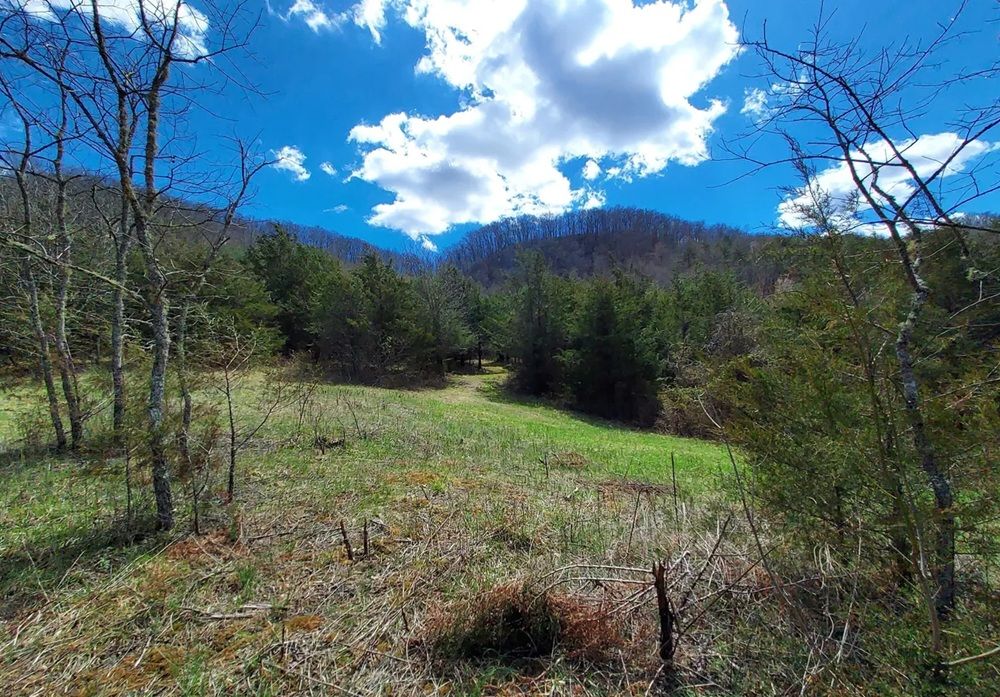 property-image-5