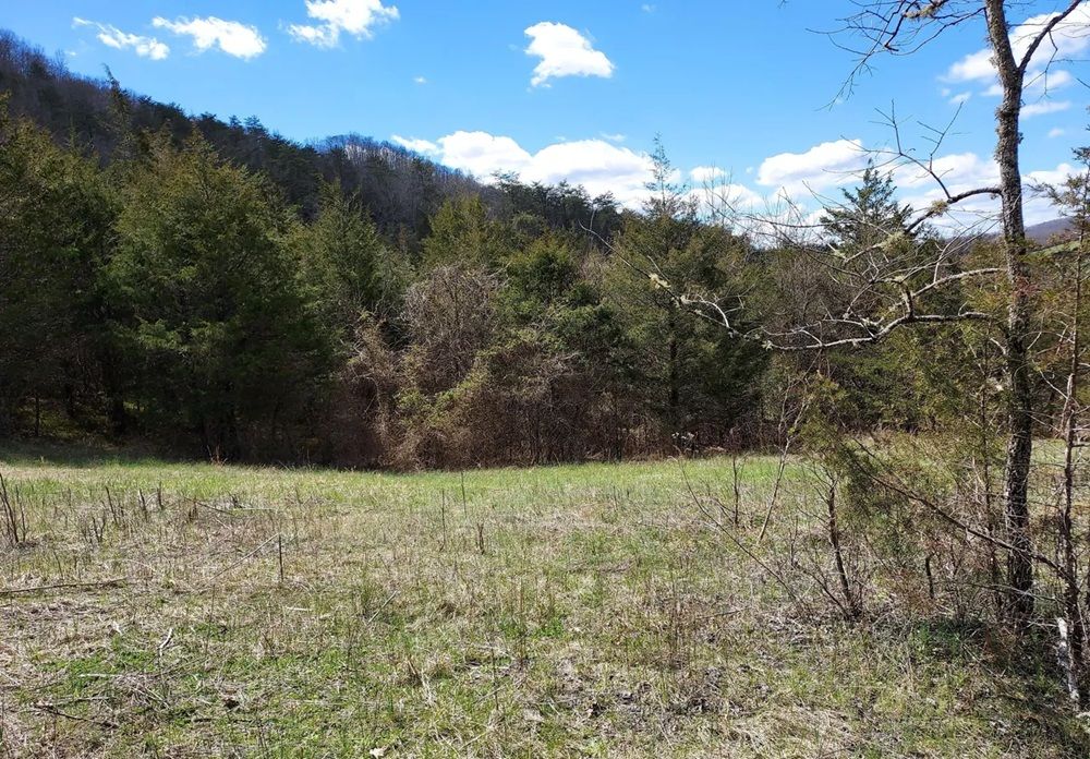 property-image-6