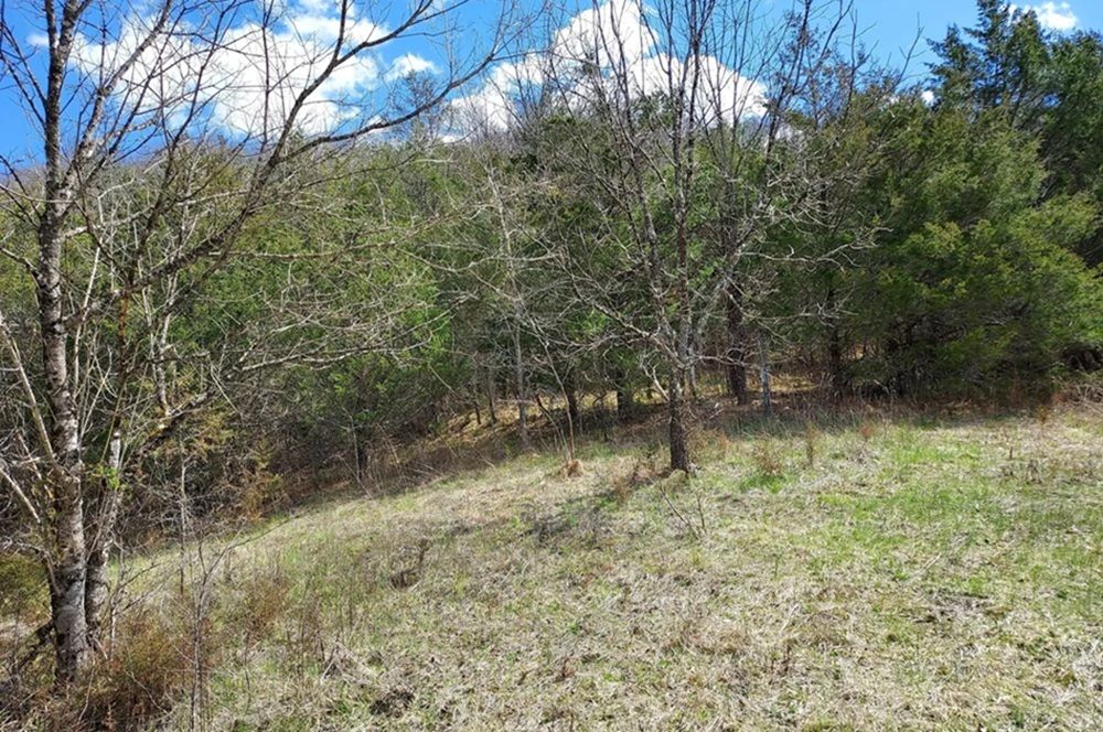 property-image-7