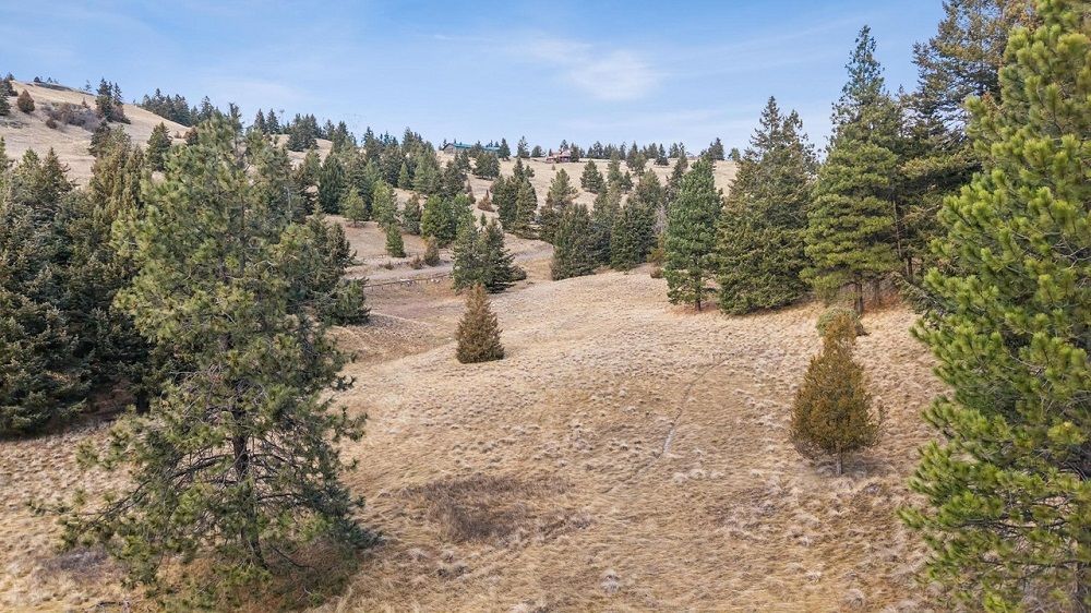 property-image-4