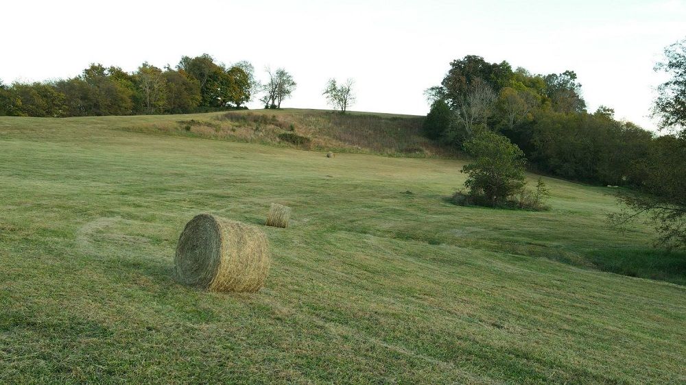 property-image-6
