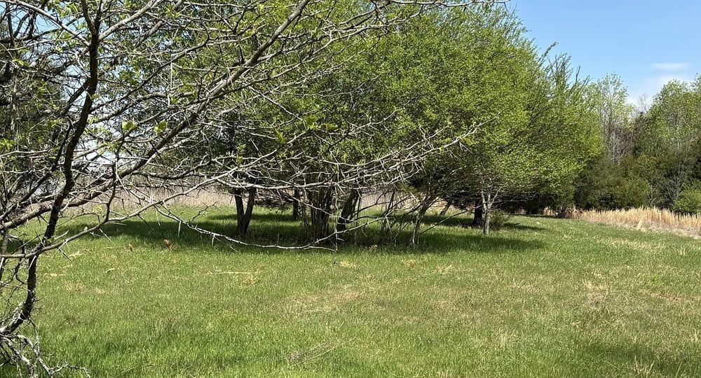 property-image-4