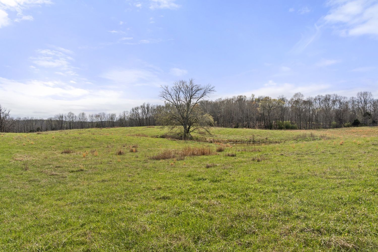 property-image-4