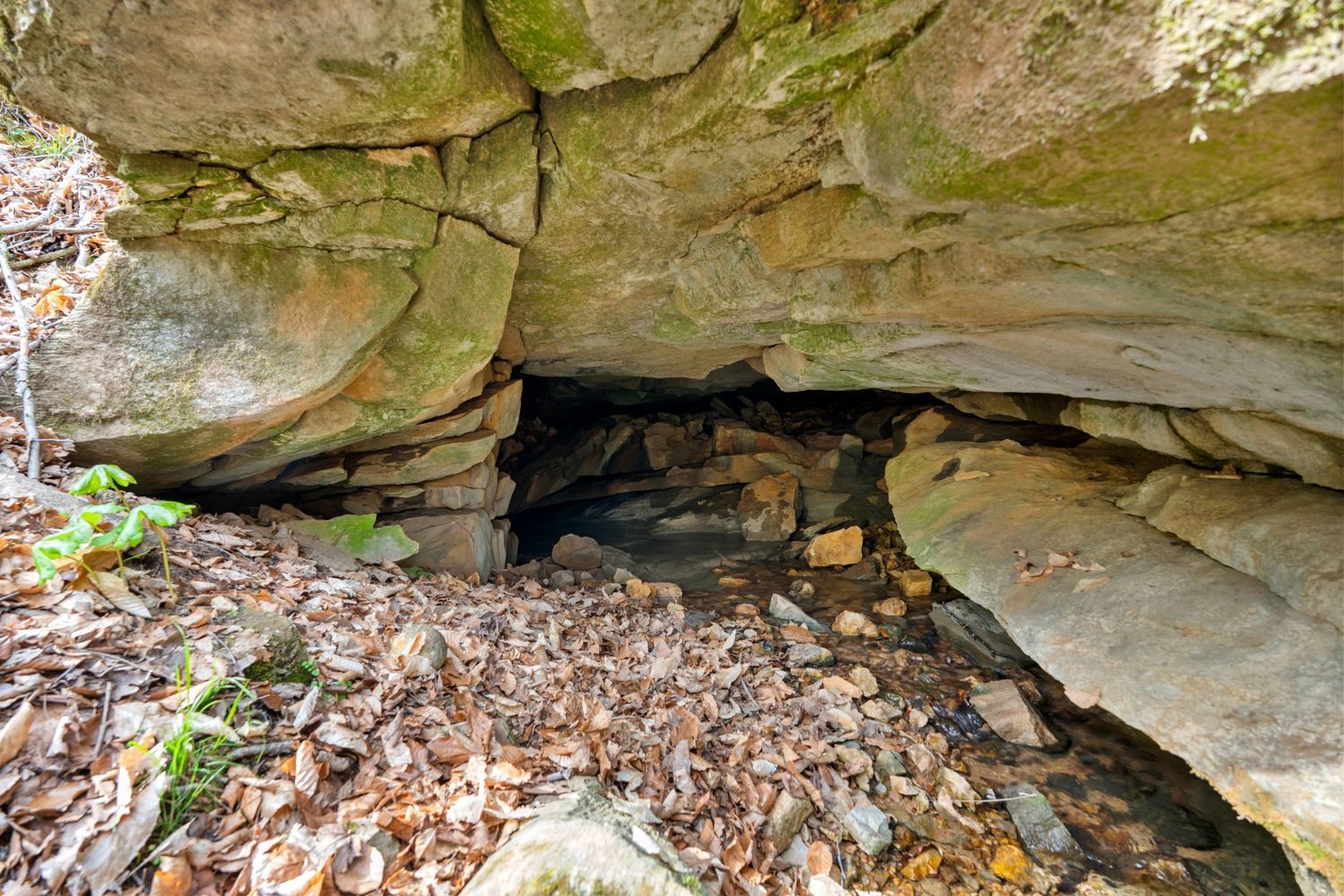 property-image-6