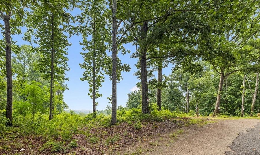 property-image-2