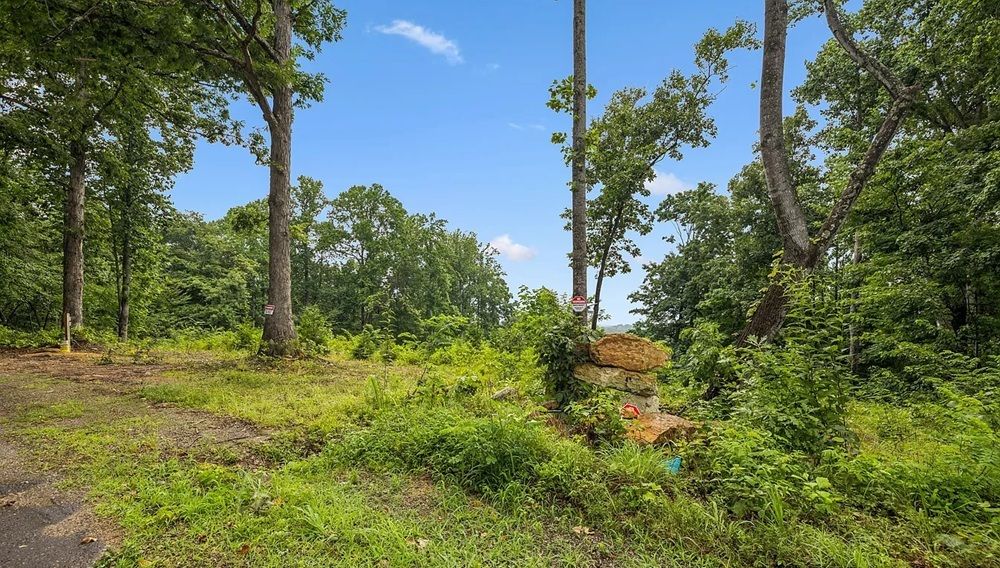 property-image-5