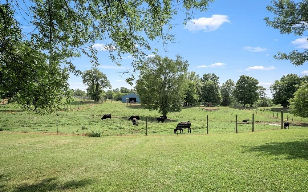 property-image-5