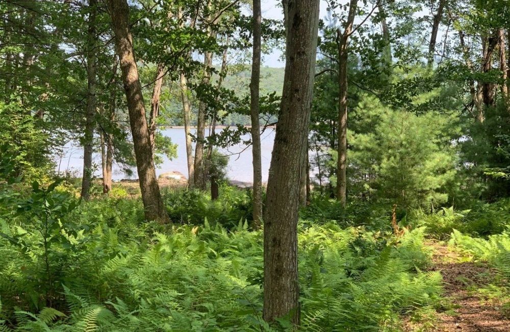 property-image-2