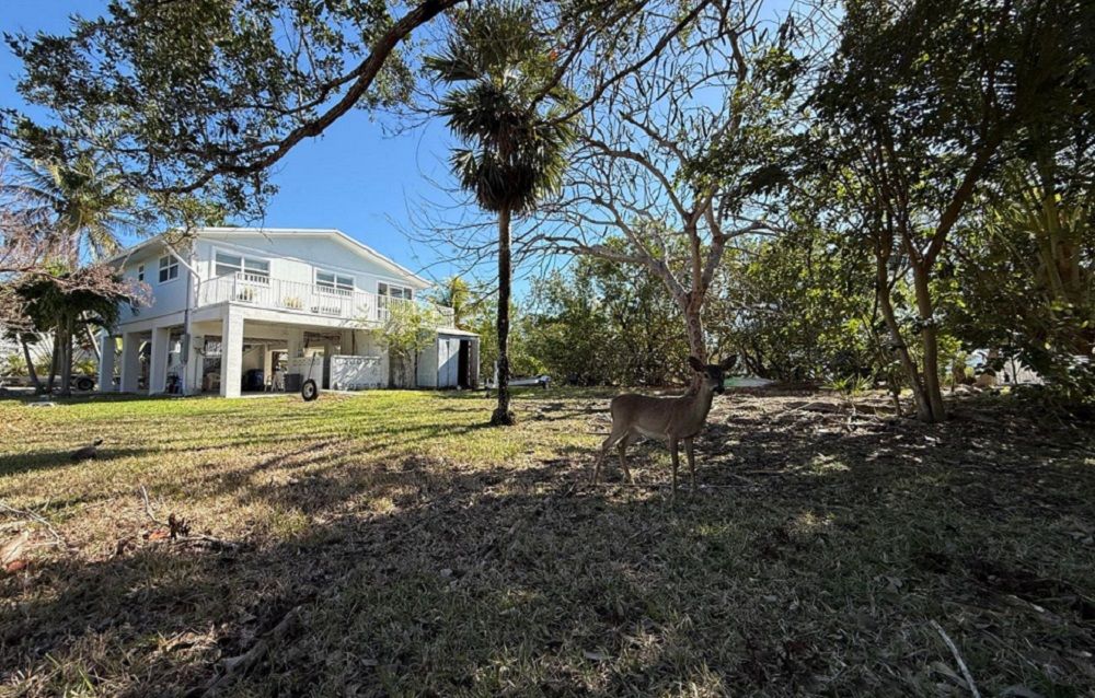 property-image-4