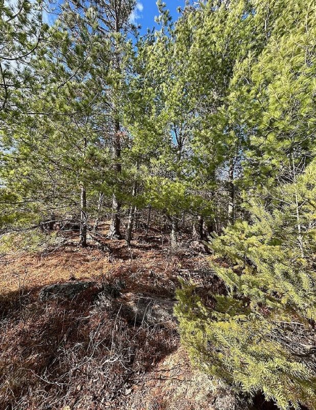 property-image-4
