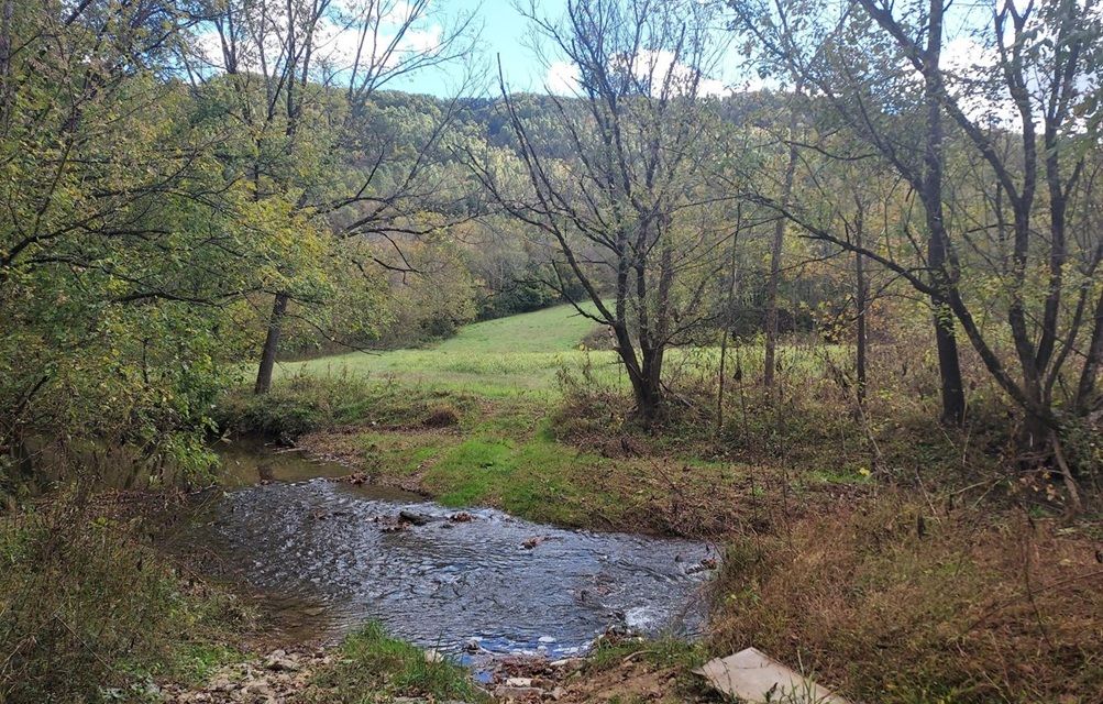property-image-2
