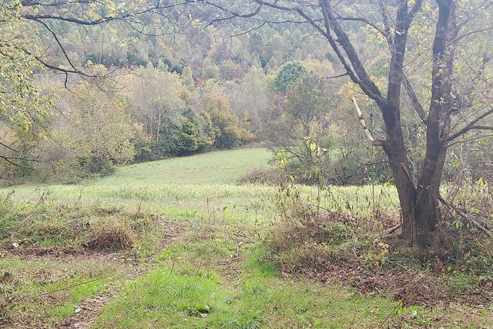 property-image-4
