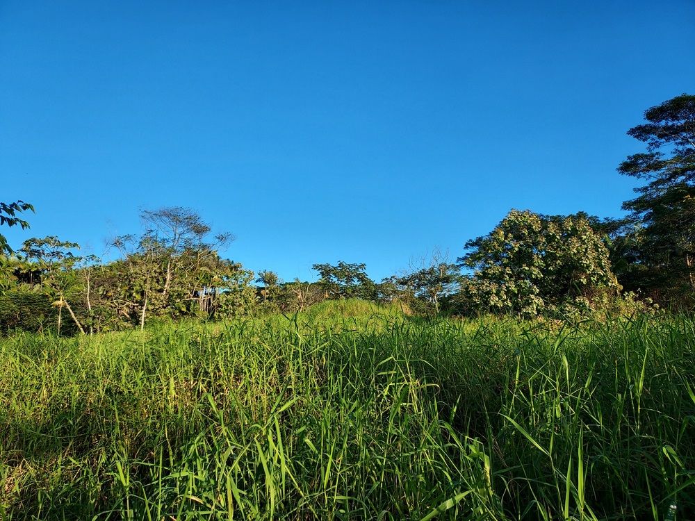 property-image-4